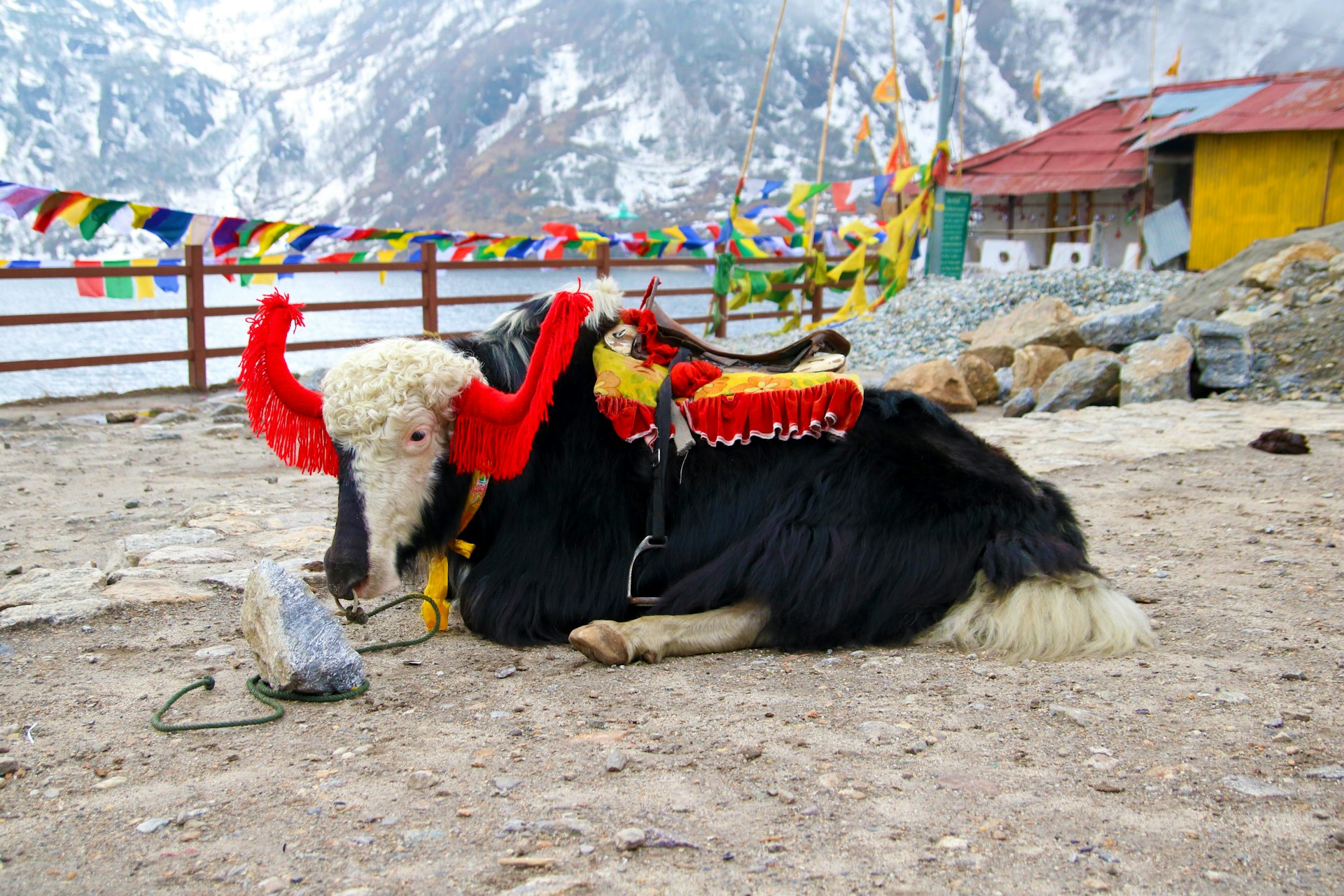 Destination Overview