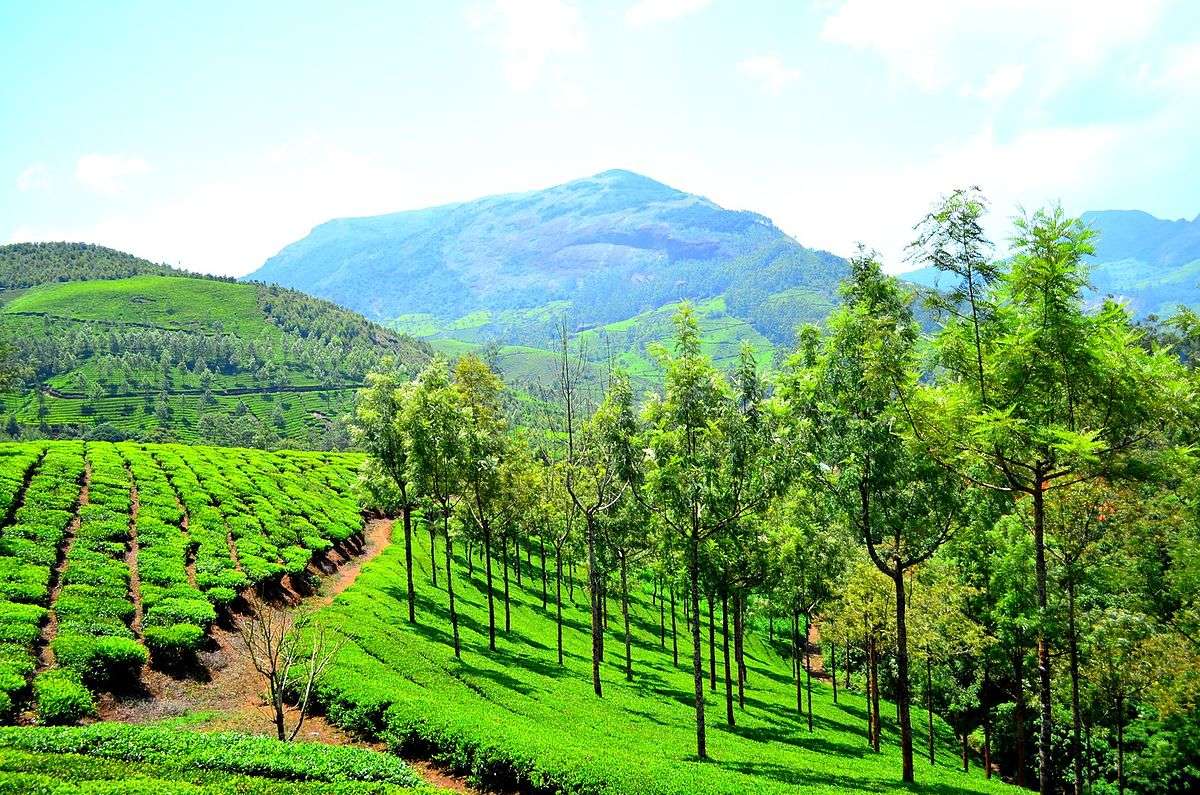 1200px-munnar-hill-station-