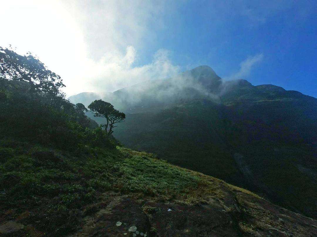 agasthyakoodam-trek-kerala