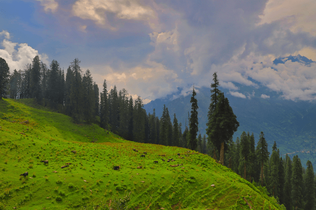 Best Honeymoon Destinations in Kashmir