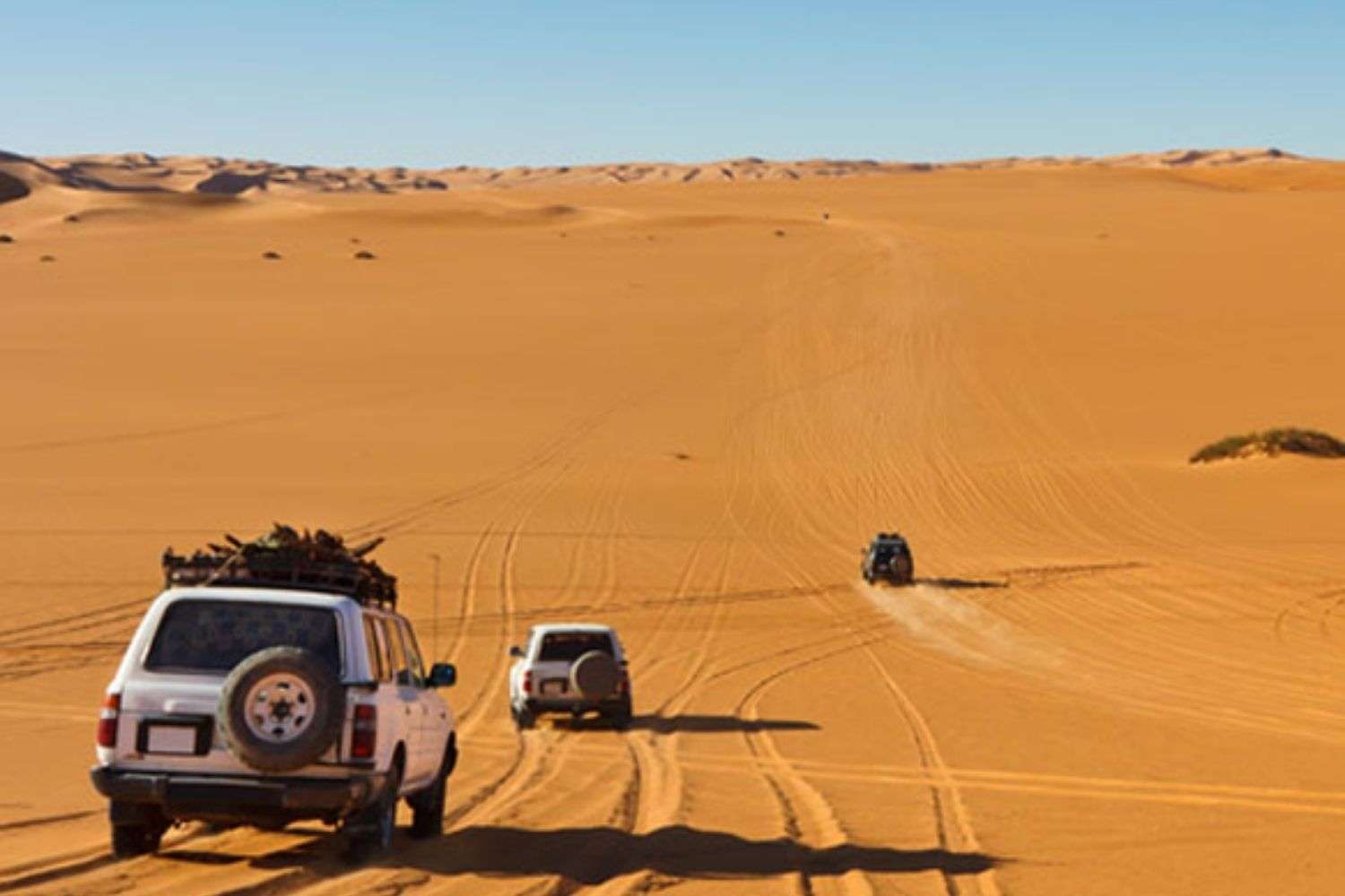 jeep-safari-in-rajasthan