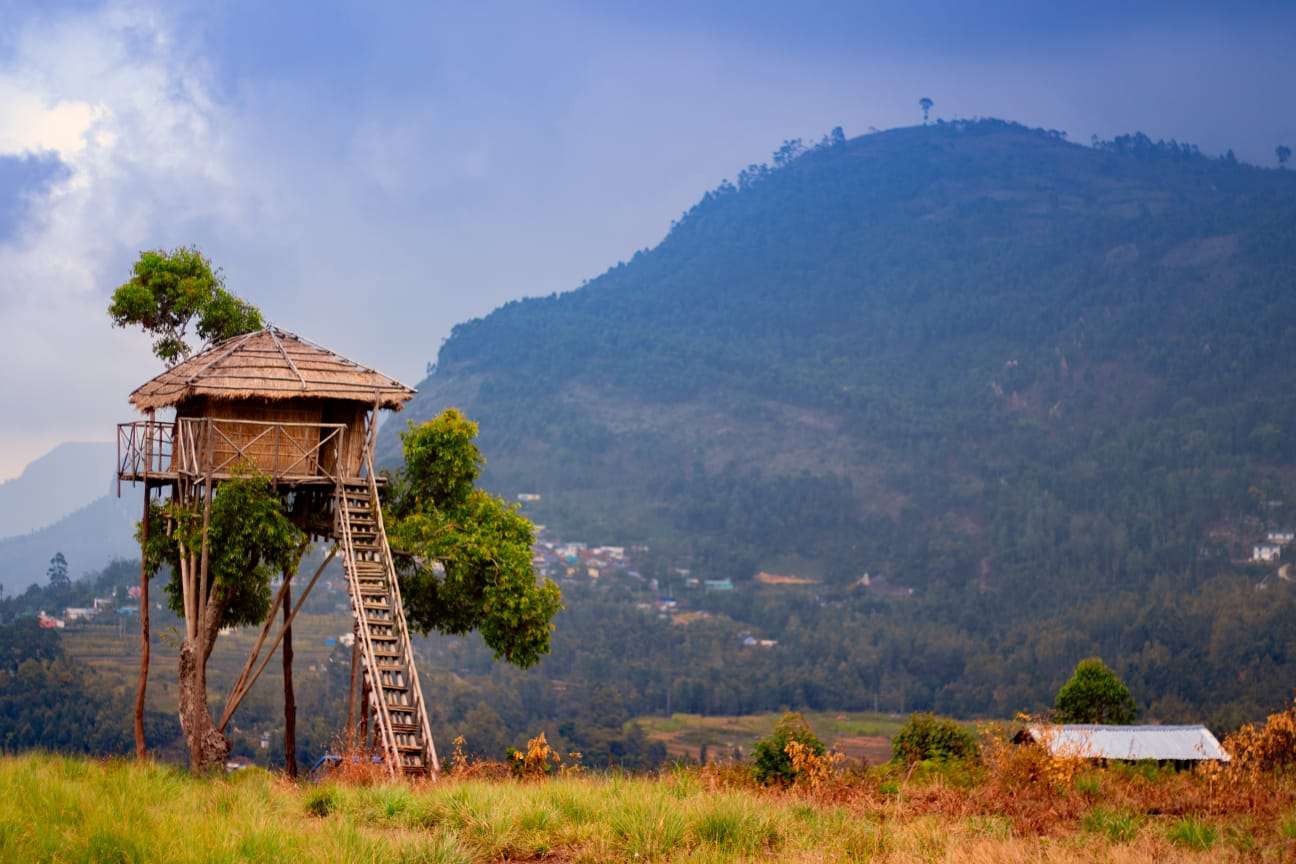 Best Places to Visit in Kerala