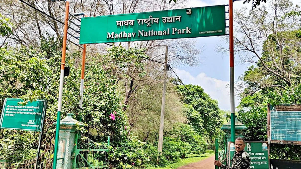 madhav-national-park-1-