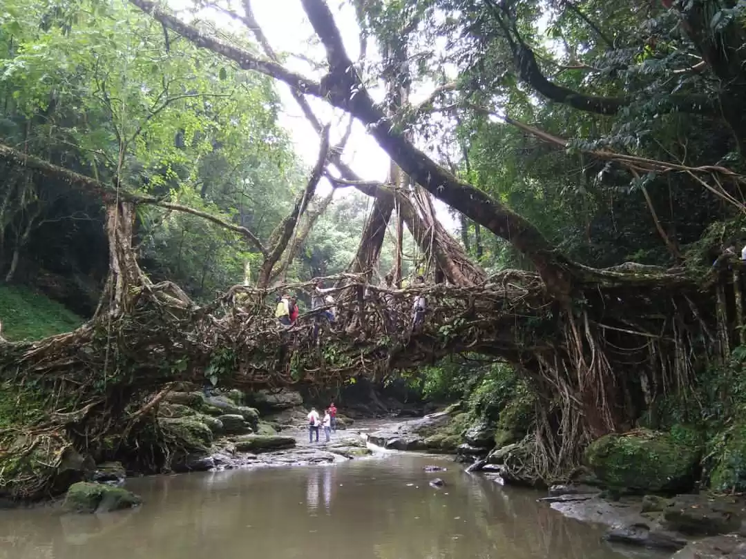 mawlynnong-meghalaya