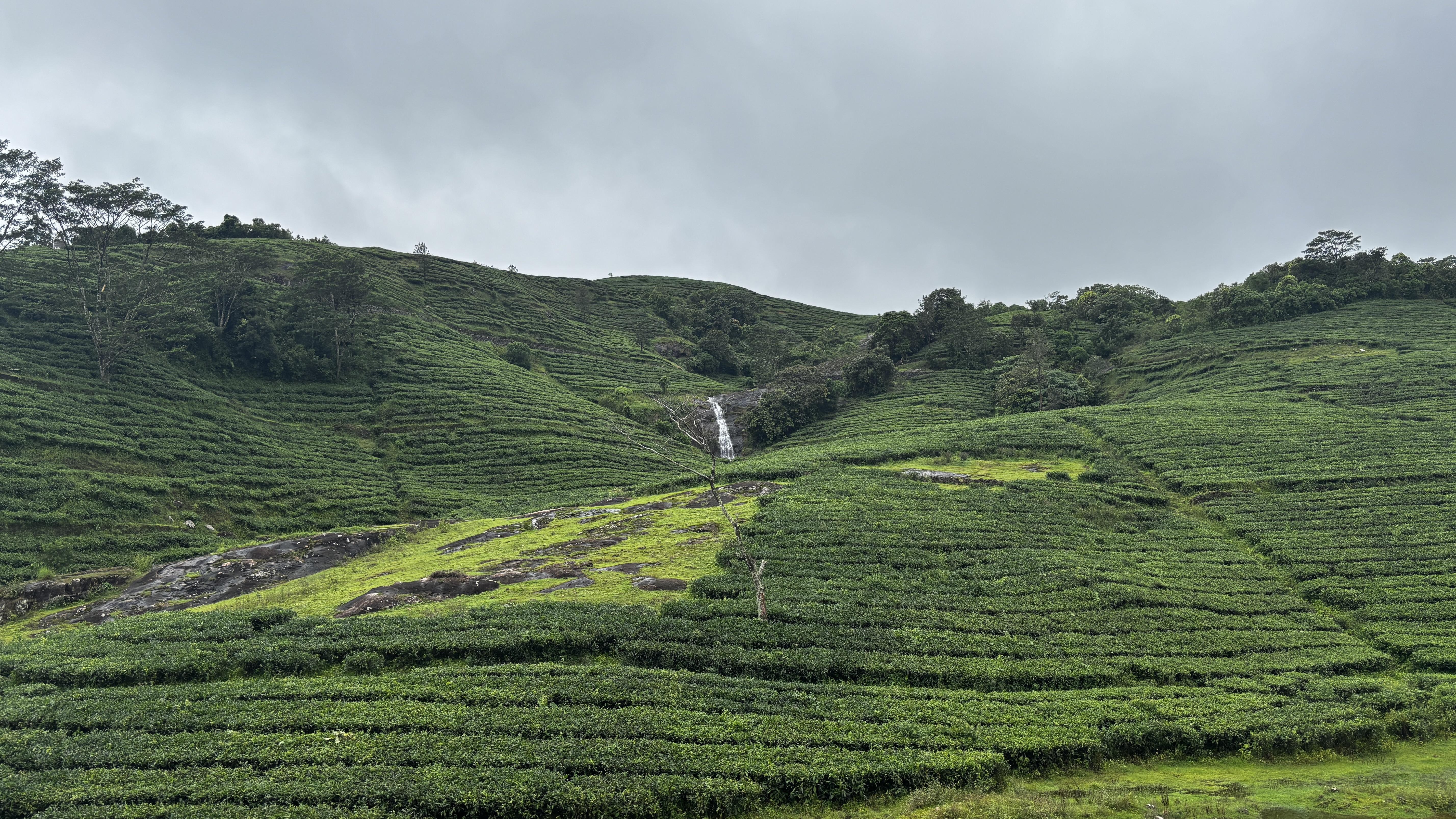monsoon-magic-vagamon1