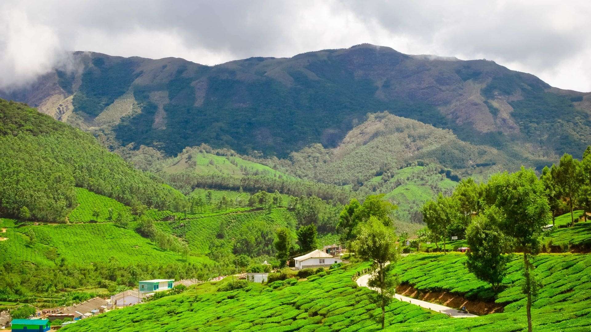 photo-point-munnar-1