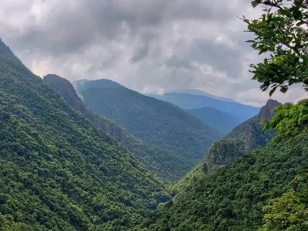 silent-valley-kerala