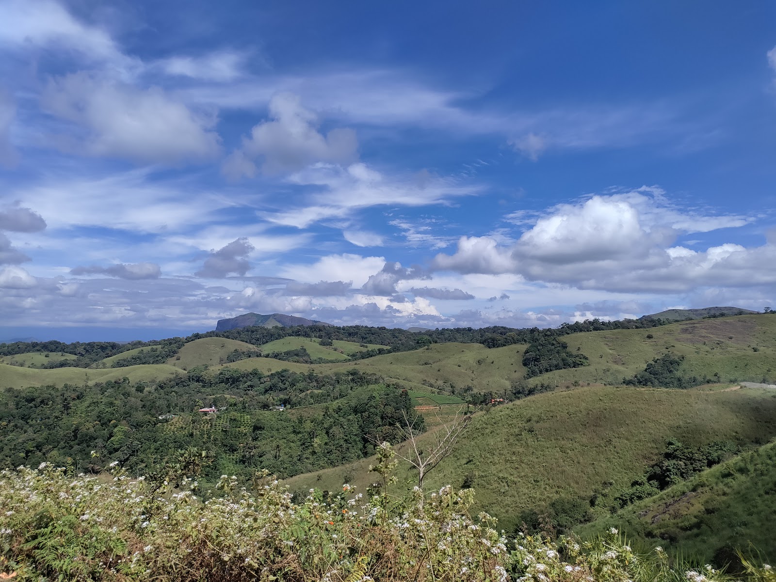 Vagamon Tourist Places 