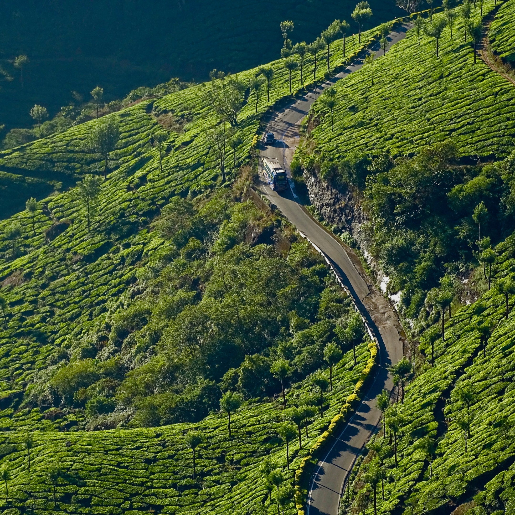 Destination Overview