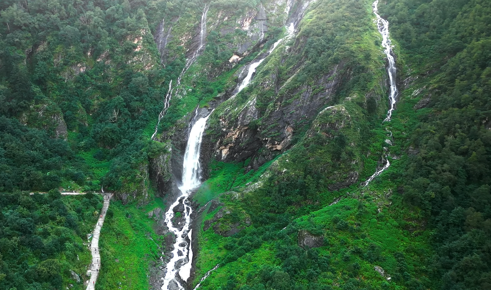 valley-of-flower-10