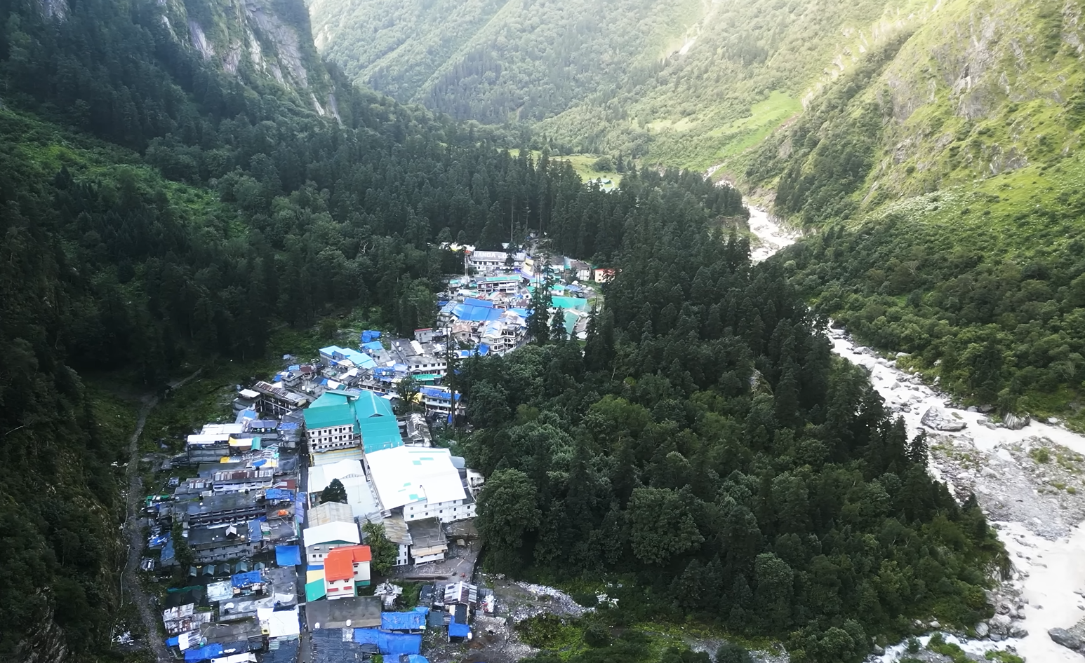 valley-of-flower-8