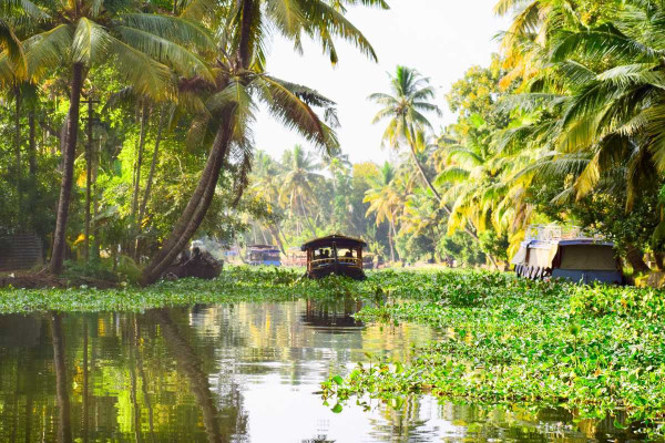 Alleppey, Kerala 