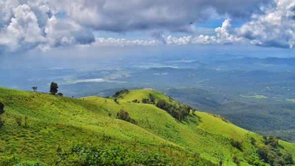 coorg