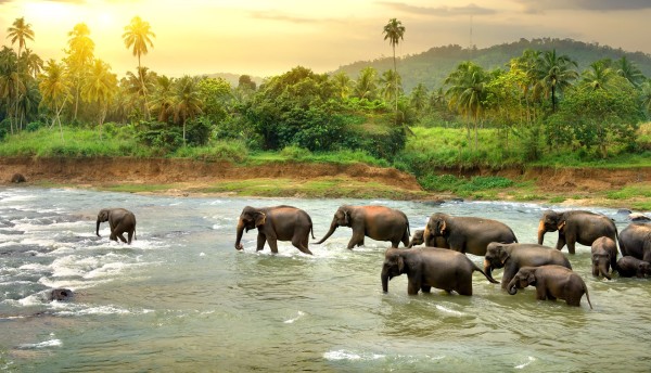 Kerala