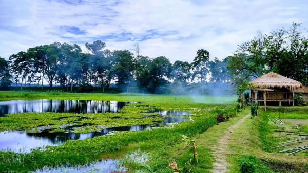Assam