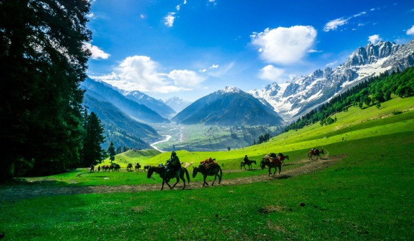 Jammu and Kashmir