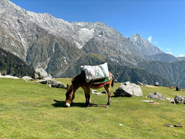 Top 15 Romantic Honeymoon Destinations in India for 2025