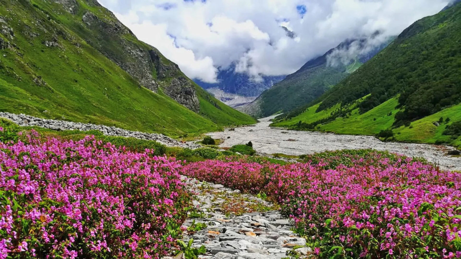 Valley Of Flowers Uttarakhand