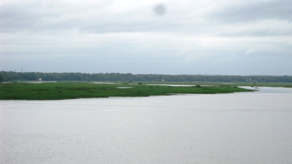 Bharathapuzha (Nila River), Palakkad