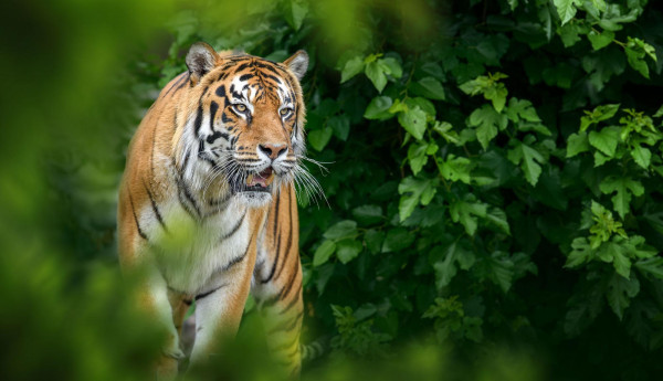 winter in wayanad | Best Time To Visit Wayanad