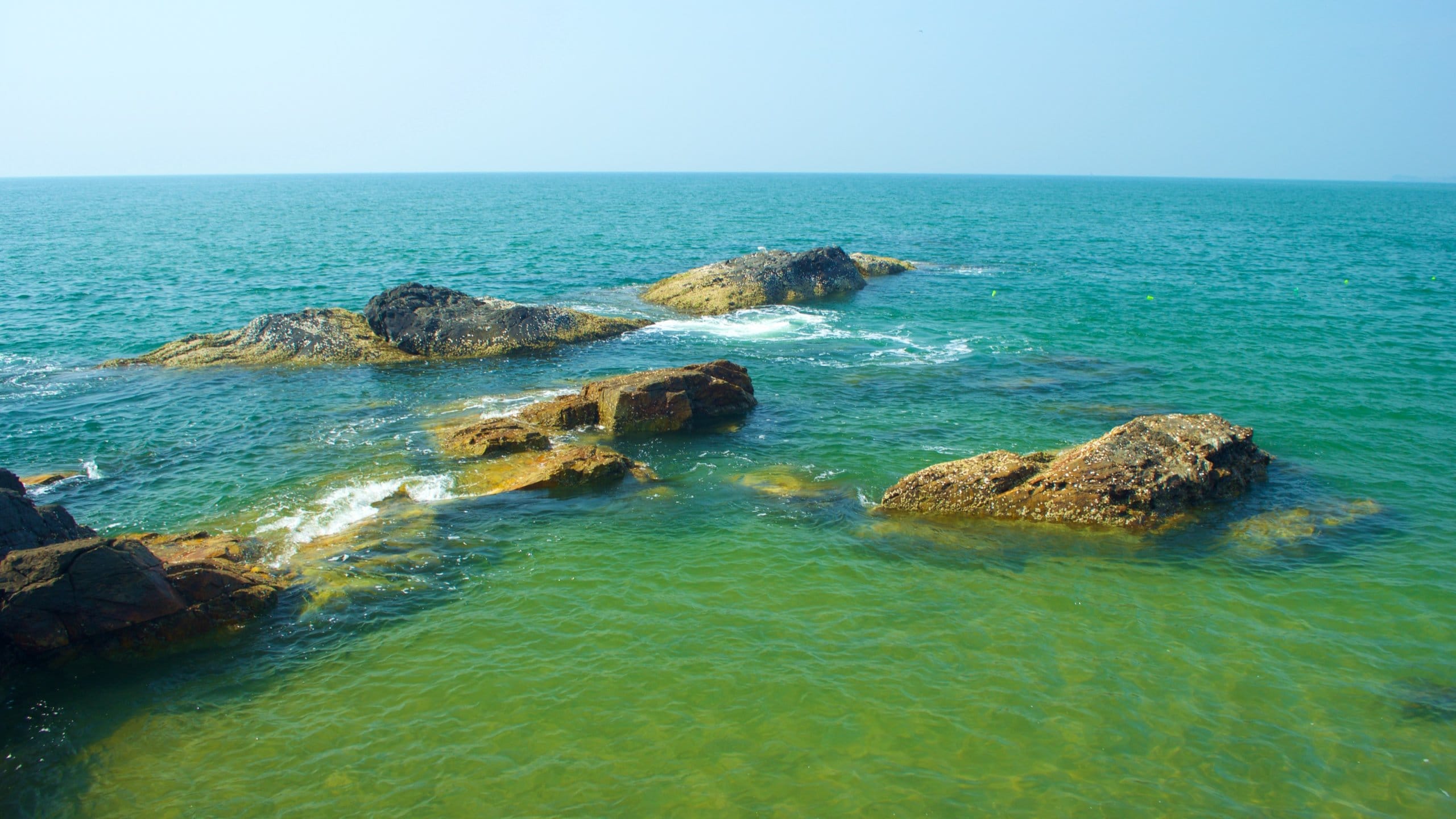 123907-Goa
