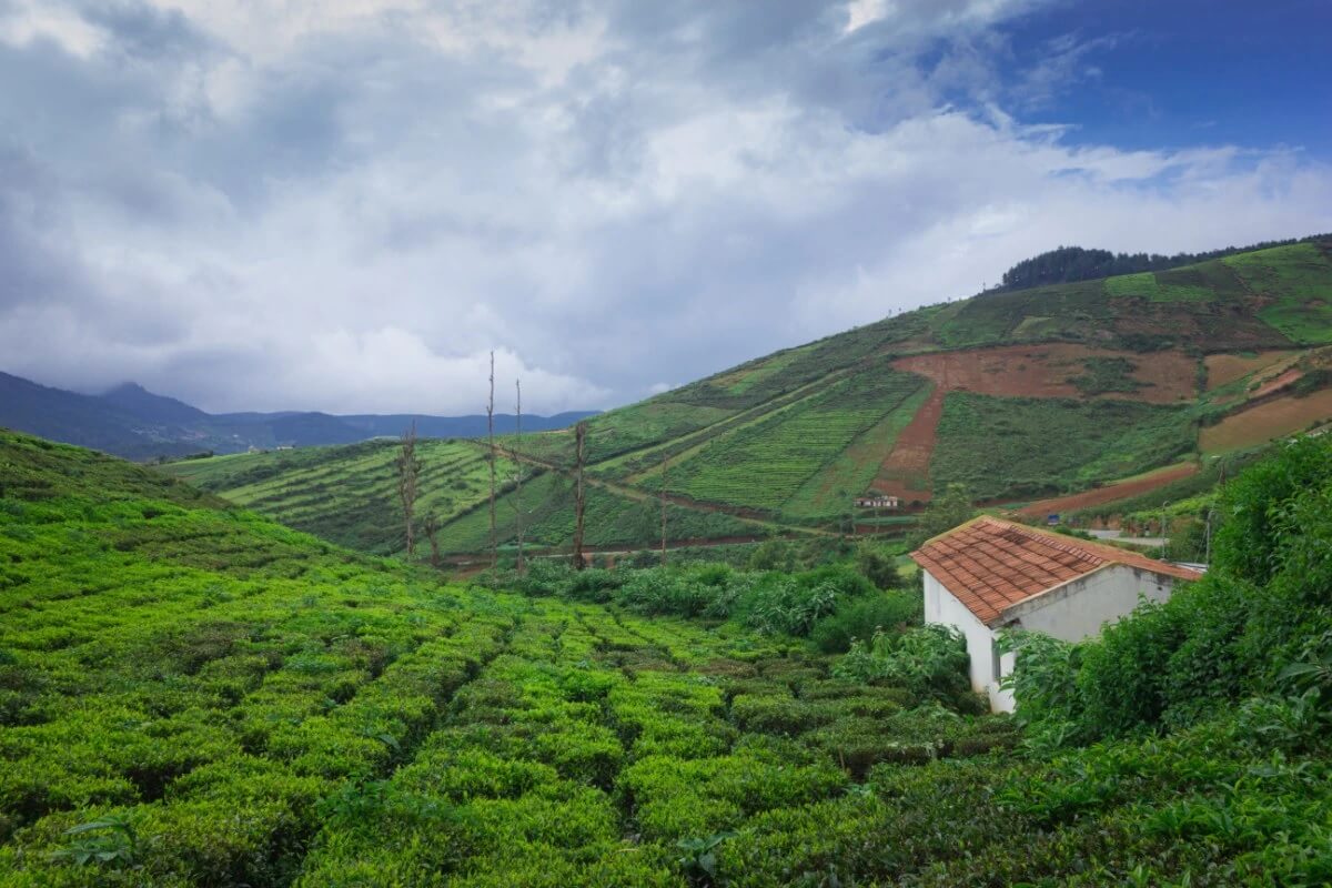 Coorg-Karnataka