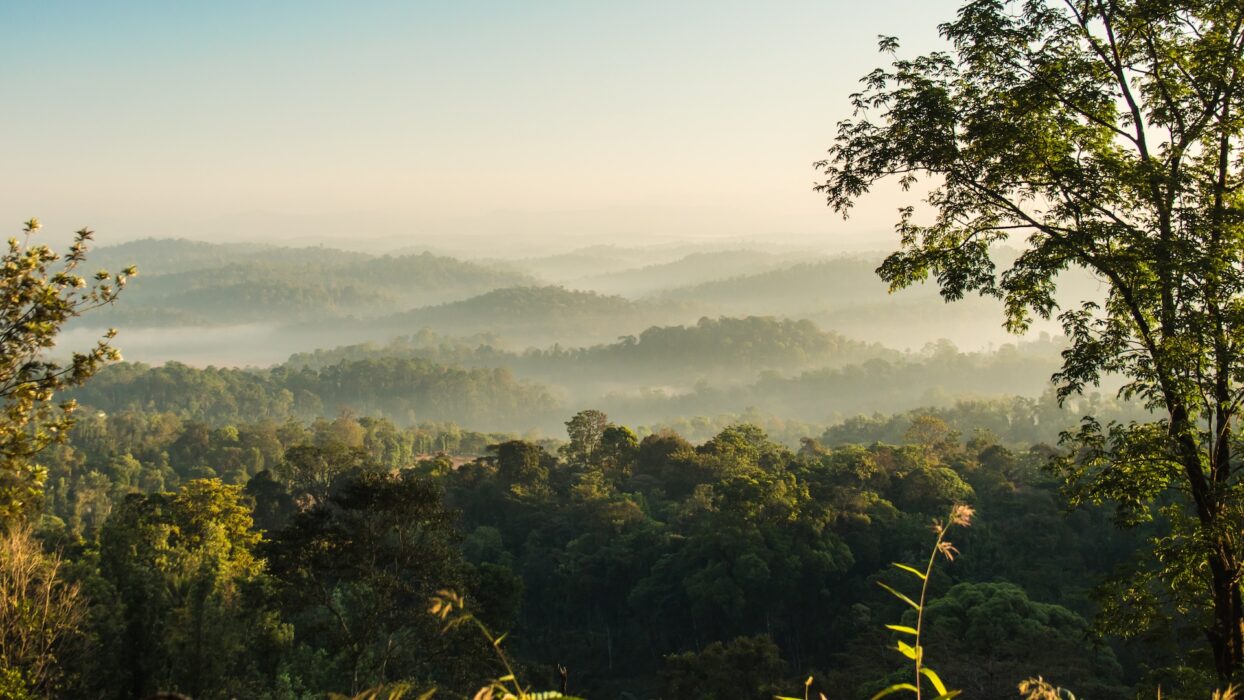 Featured-image-Mountains-in-Coorg-Karnataka-India-1244x700