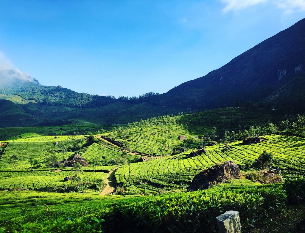 Munnar-Kerala-feature-image-1024x784