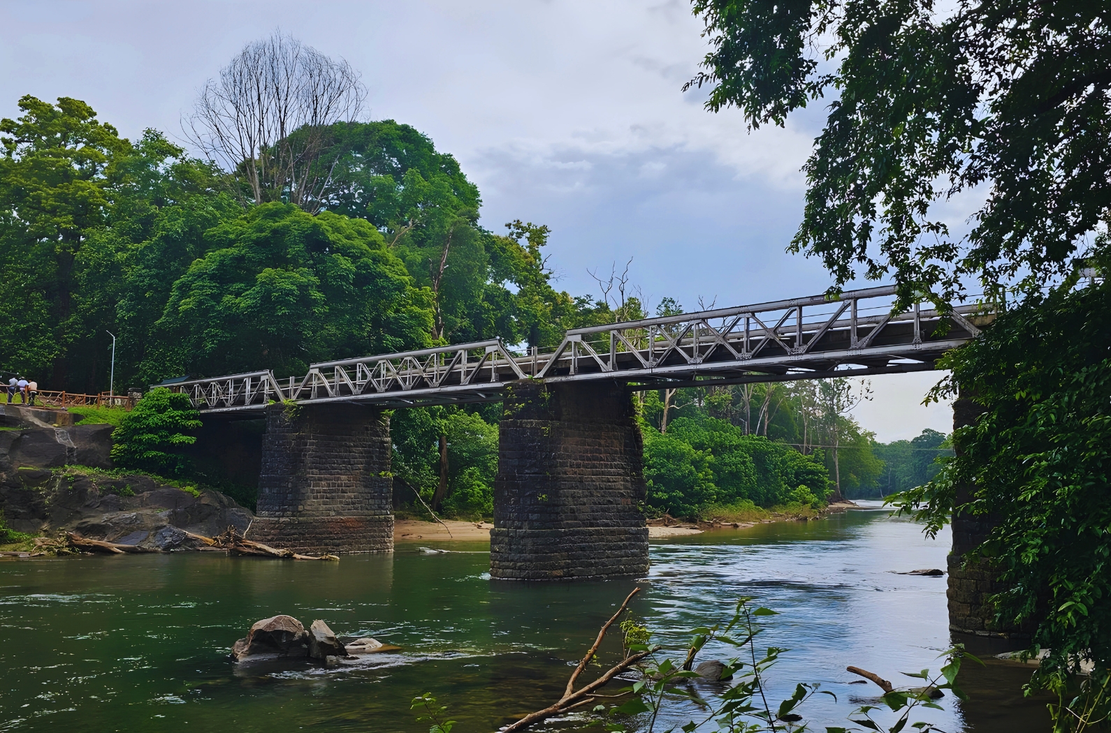 Nedumkayam-Rain-Forest-2
